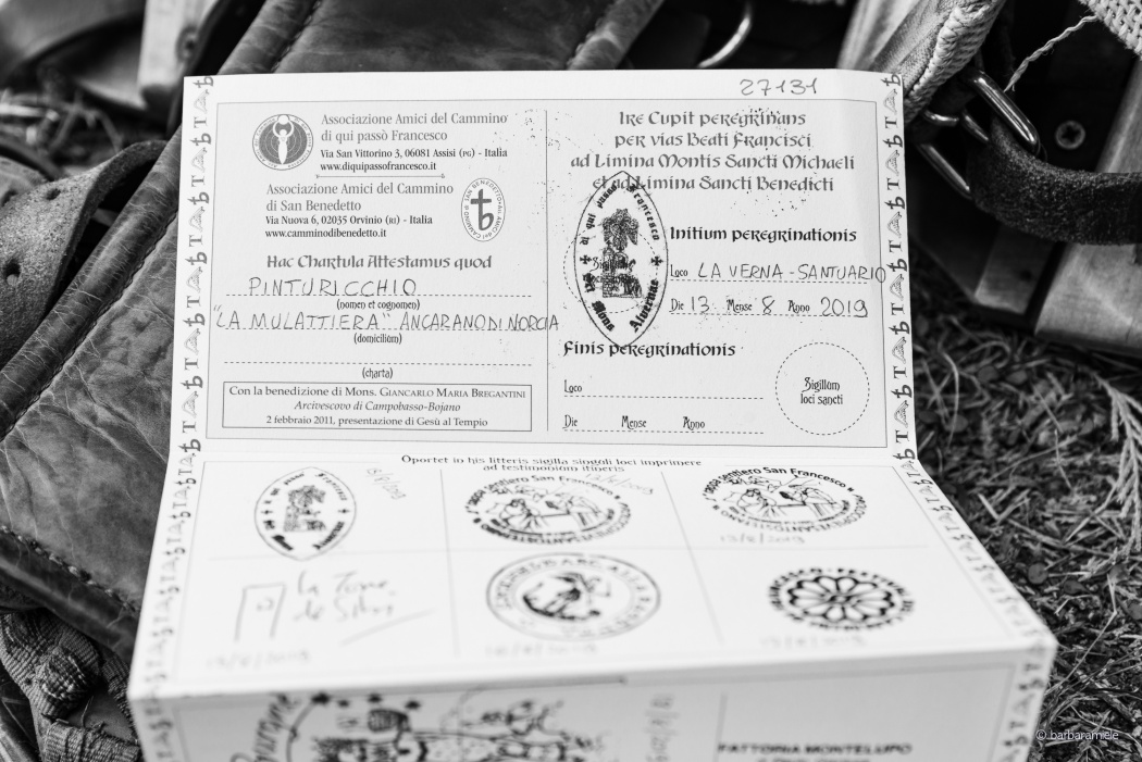 The Pilgrim's Passport - Pilgrims who stop at the Hermitage of San Pietro in Vigneto, as well as at any other stations along the Way of Saint Benedict, will get a stamp on the Pilgrim's Passport, as evidence of their passage.
Pinturicchio, the Donkey, had its own passport, too.