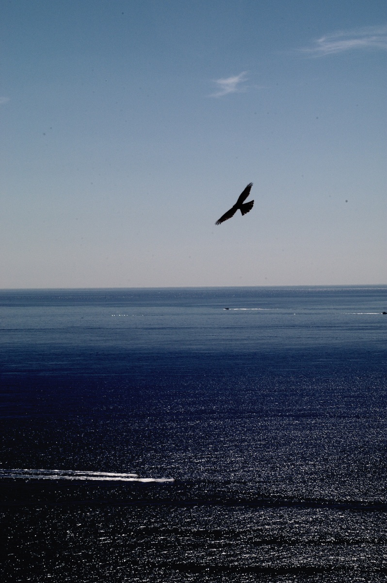 Fly over Mediterranean Sea France 2003