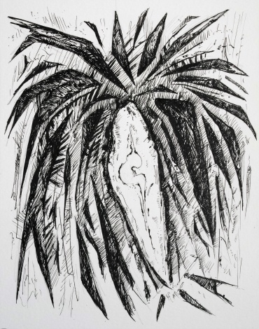 The palm n.347, 2022, indian ink on paper, 7,5 x 23 cm